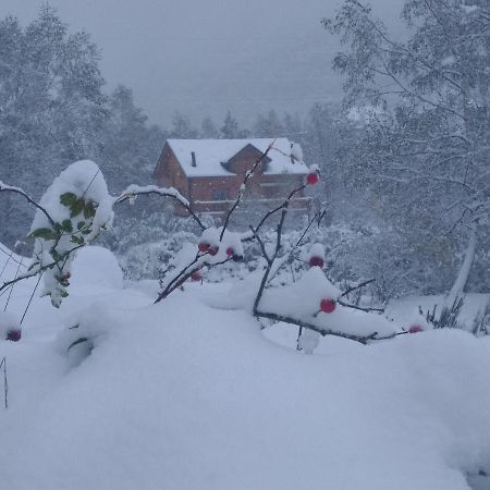 Chalet Bois Au Milieu Des Pyrenees LʼHospitalet-près-lʼAndorre Exterior foto